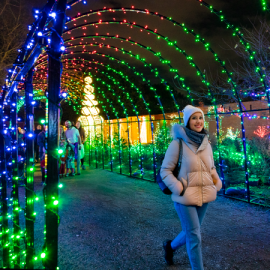 LED Christmas Light Tunnels