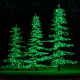 Green Christmas Trees