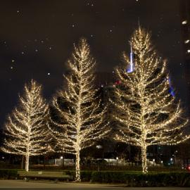 Christmas Lights For Outdoor Trees