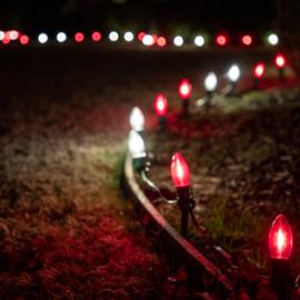 Pathway Christmas Lights