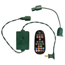 C9 RGBW Pro Christmas Remote & Converter