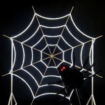 Halloween Spider Web Selfie Display